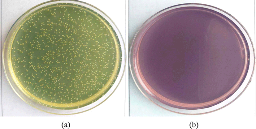 ec-57-1-1-g10